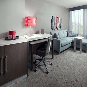 One-Bedroom King Suite Sofa Bed